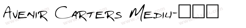 Avenir Carters Mediu字体转换